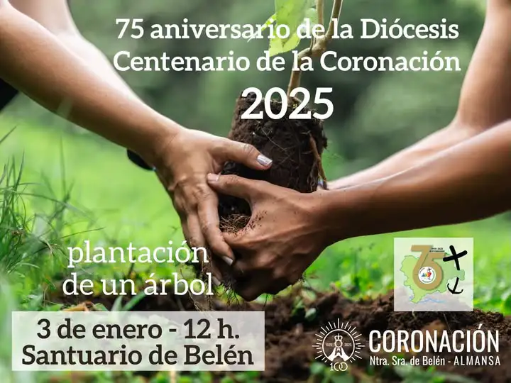 plantacion de una carrasca