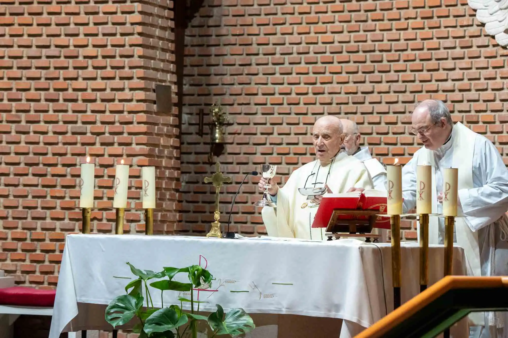 25 Ascendente. Candelaria 2026